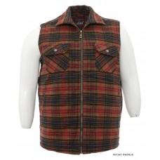 Vesta barbati BVST29