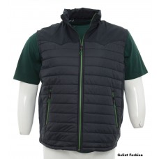 Vesta barbati BVST46