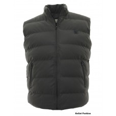 Vesta barbati BVST50