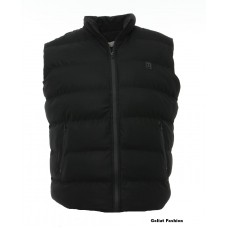 Vesta barbati BVST51