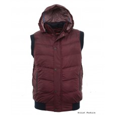 Vesta barbati BVST16